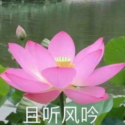 宇宙航天模拟器手游下载